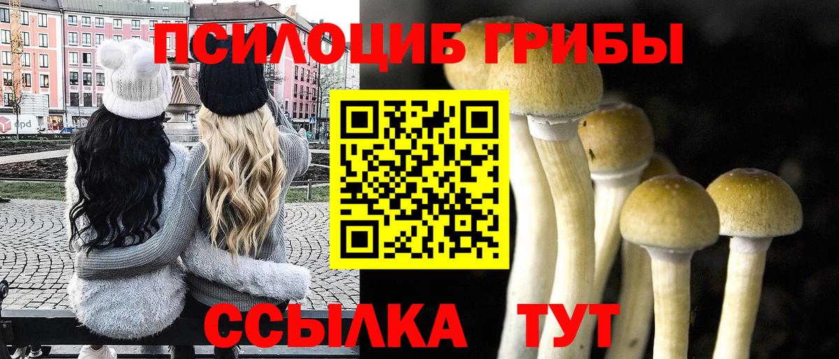 Галлюциногенные грибы Cubensis  Вход с VPN  Белово 